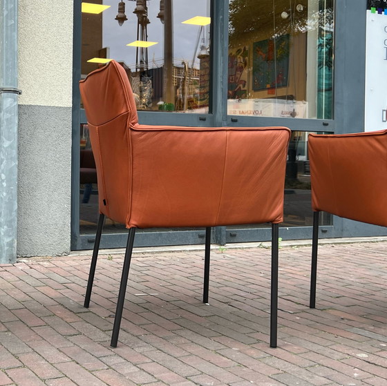 Image 1 of 6 x Design On Stock Stuhl Amra Cera Cognac