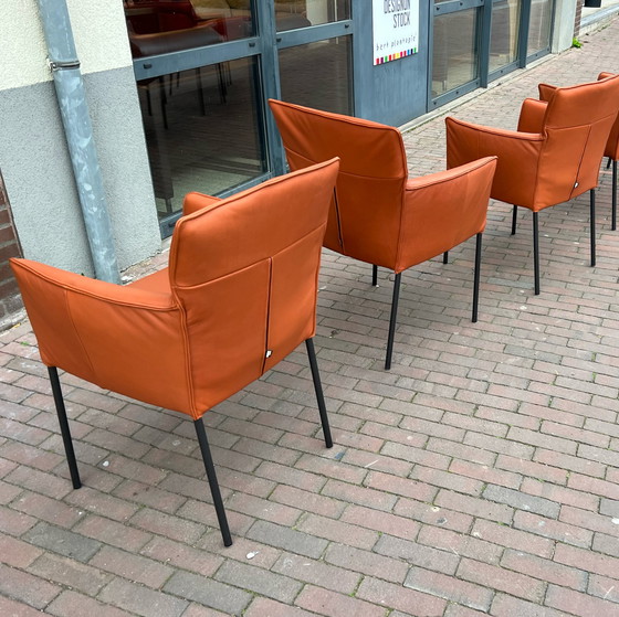 Image 1 of 6 x Design On Stock Stuhl Amra Cera Cognac