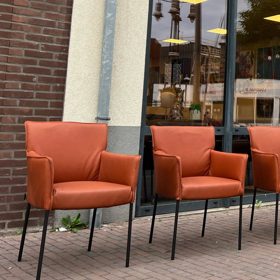 Image 1 of 6 x Design On Stock Stuhl Amra Cera Cognac