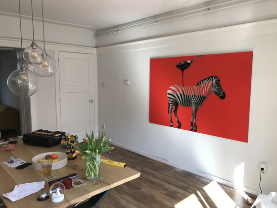 Image 1 of Jonathan Leih Schokoladenzebra