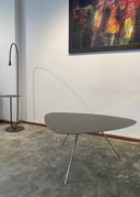 Leolux Liliom Couchtisch