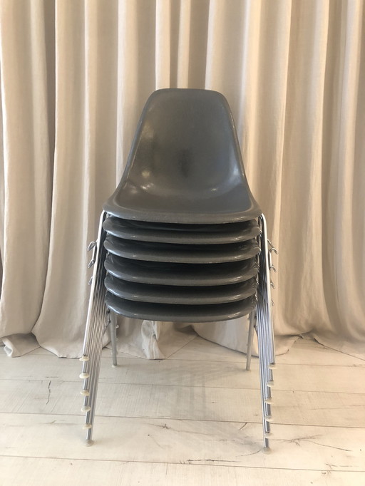 6x Eames DSS Schalenstuhl