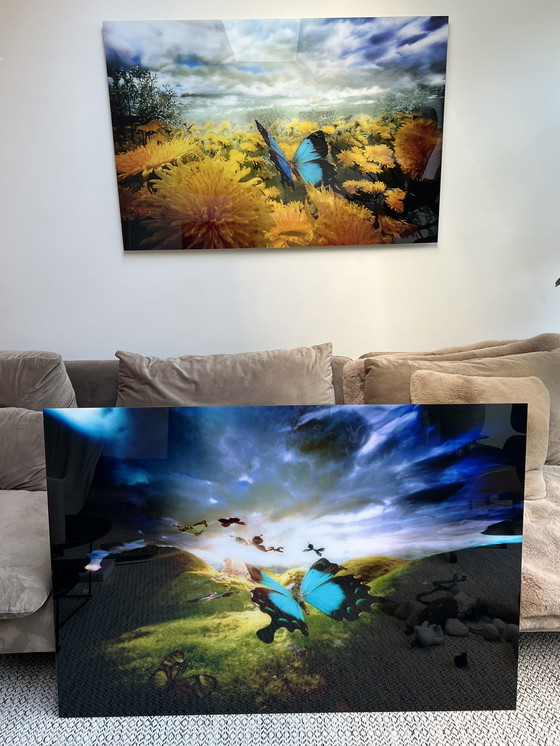 Image 1 of Bethany de Forest - Pferdefliege