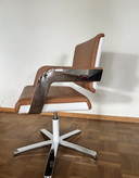 6x König Neurath Charta Stühle