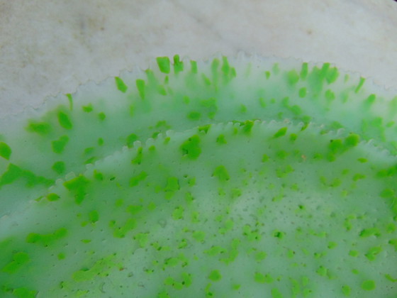 Image 1 of Respeel & van Spaendonck Poly-Poly-Skala