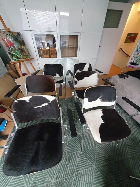 Image 1 of 6 Stöcke Giancarlo Piretti - Burgen