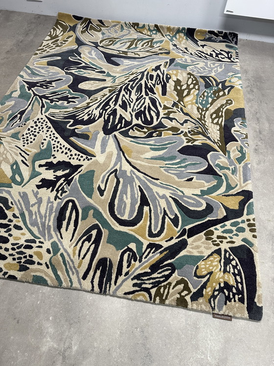 Image 1 of Brink and Campman Harlekin-Teppich