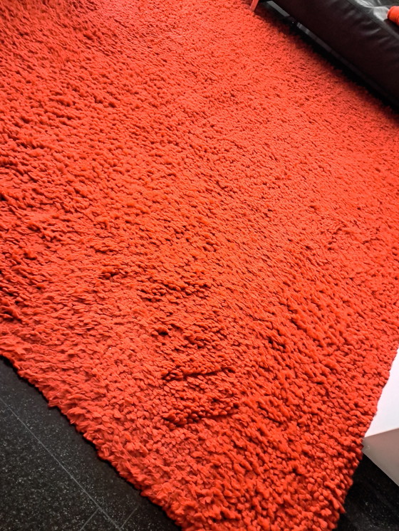 Image 1 of Iselle Teppich