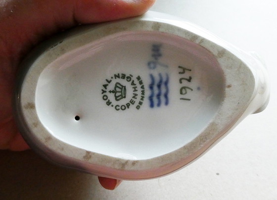 Image 1 of Peter Herold duck