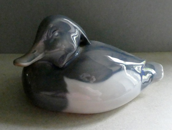 Image 1 of Peter Herold duck