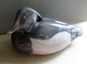 Peter Herold duck