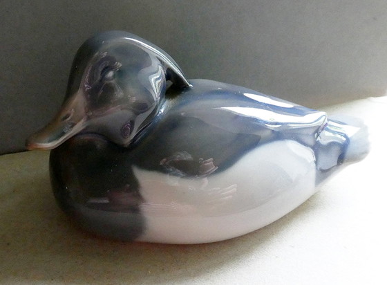 Image 1 of Peter Herold duck