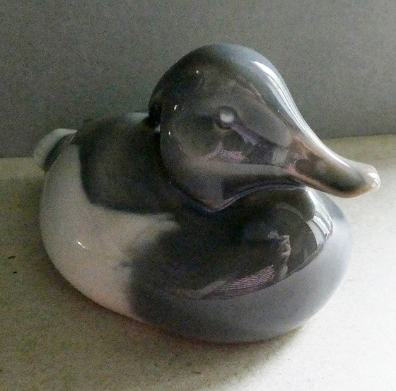 Image 1 of Peter Herold duck