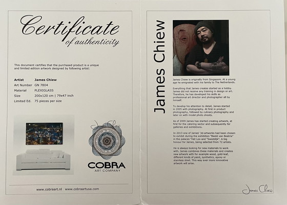 Image 1 of James Chiew – Die 5. Dimension