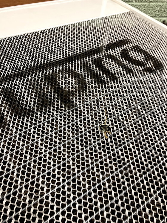 Image 1 of Auping Ariadne Friso Kramer Tagesbett