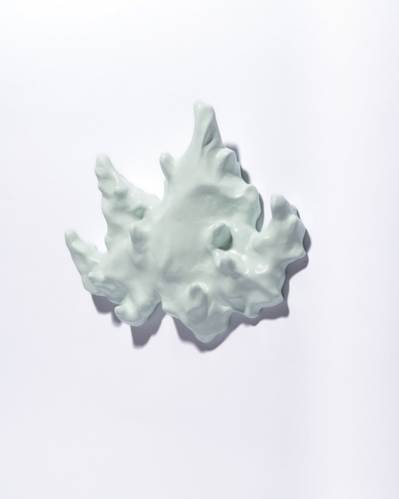 Image 1 of Gert Wessels – Rosa Saker