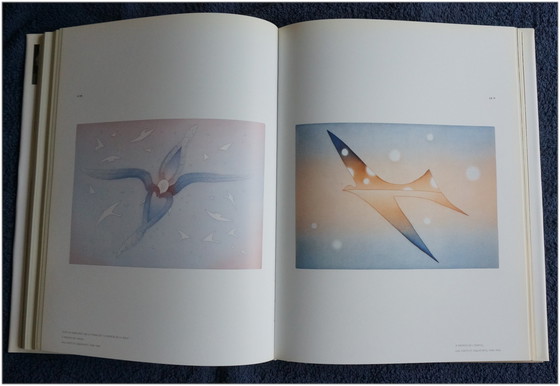 Image 1 of Folon-Buch