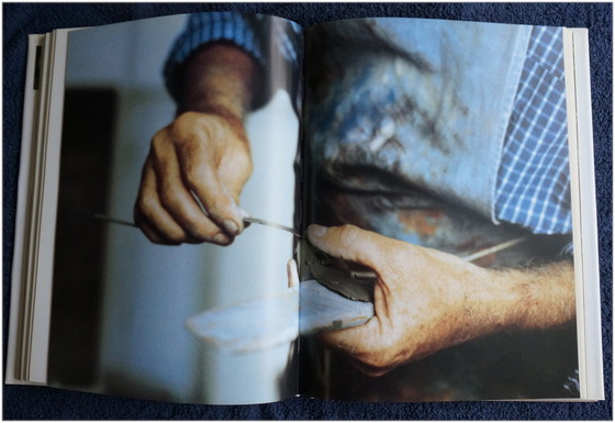 Image 1 of Folon-Buch