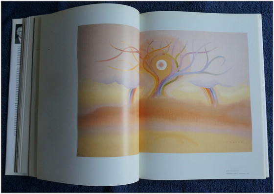 Image 1 of Folon-Buch