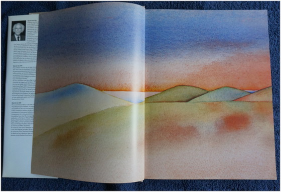 Image 1 of Folon-Buch