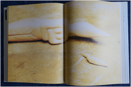 Image 1 of Folon-Buch