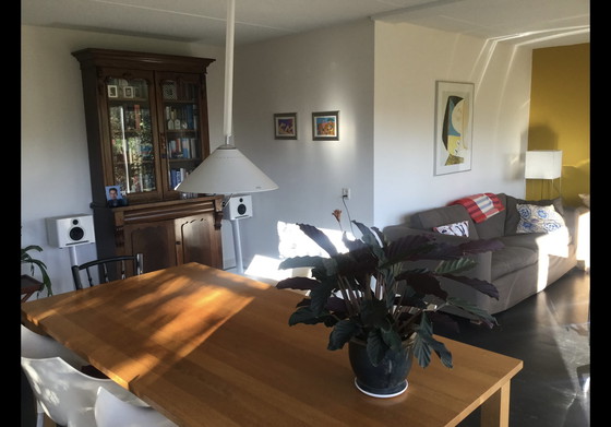 Image 1 of Lumina Flip Deckenleuchte