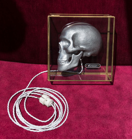Image 1 of Industrial Re-designs Totenkopf im Glaskasten