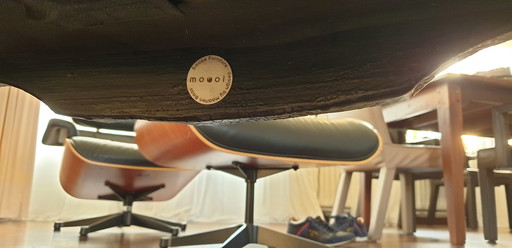 Moooi geräucherter Stuhl