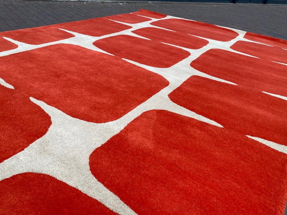 Image 1 of Brink & Campman Spross Mohn