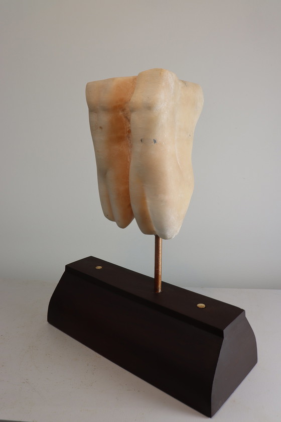 Image 1 of Menschlichkeit