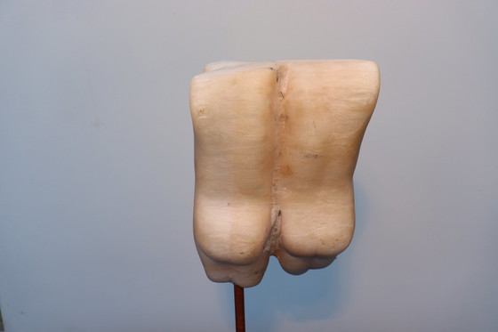 Image 1 of Menschlichkeit