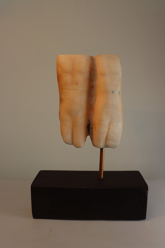 Image 1 of Menschlichkeit