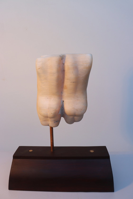 Image 1 of Menschlichkeit