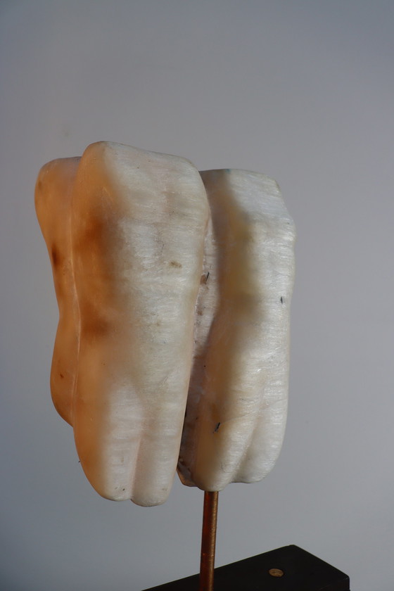 Image 1 of Menschlichkeit