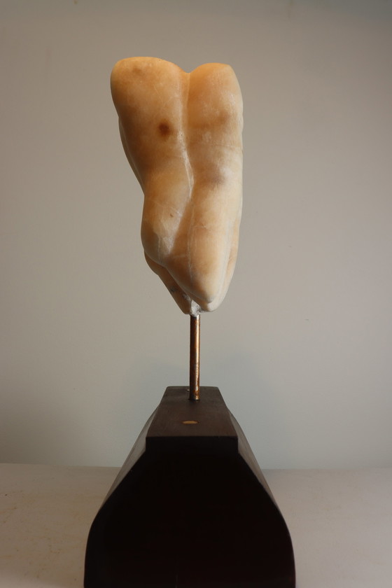 Image 1 of Menschlichkeit