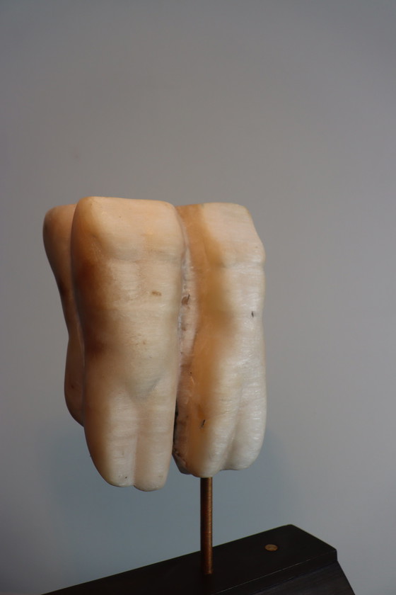 Image 1 of Menschlichkeit