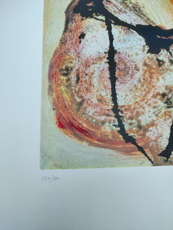 Image 1 of Jan te Wierik Set mit 3 Siebdrucken