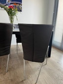 6x Montis Spica Stuhl