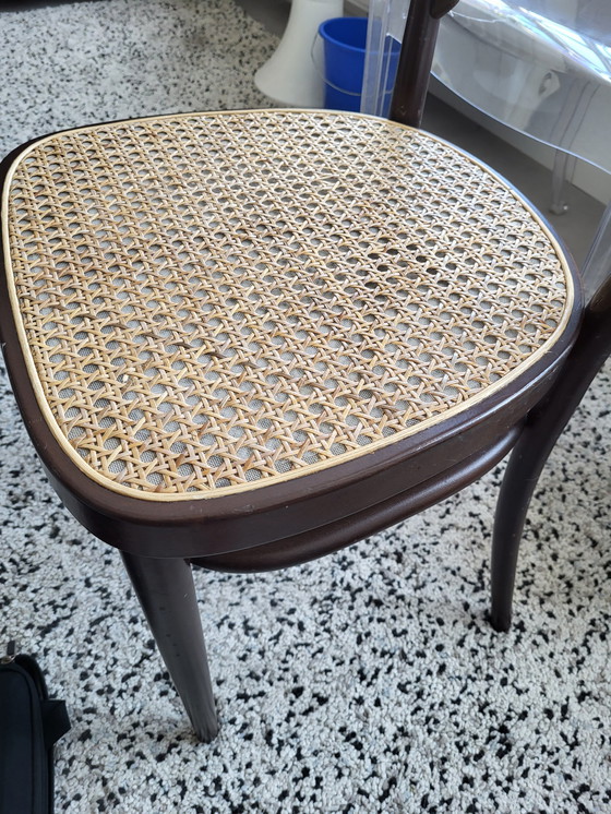 Image 1 of 4x Thonet Stuhl