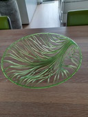 Schüssel Bugatti grün und transparent.