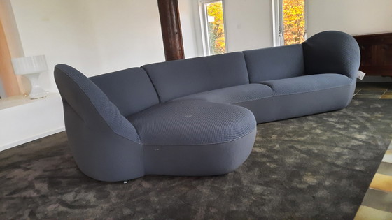 Image 1 of Leolux Chaiselonques