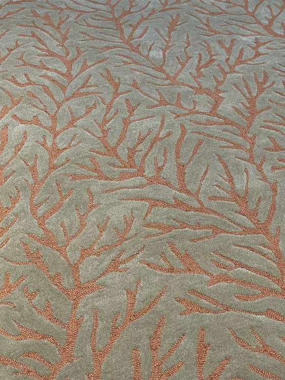 Image 1 of Brink & Campman Harlekin Teppich