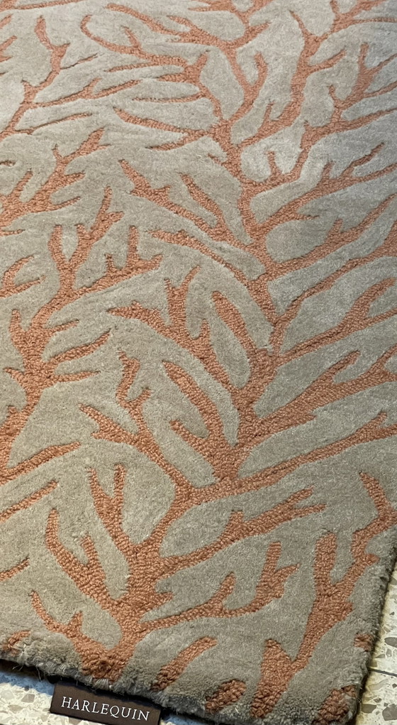 Image 1 of Brink & Campman Harlekin Teppich