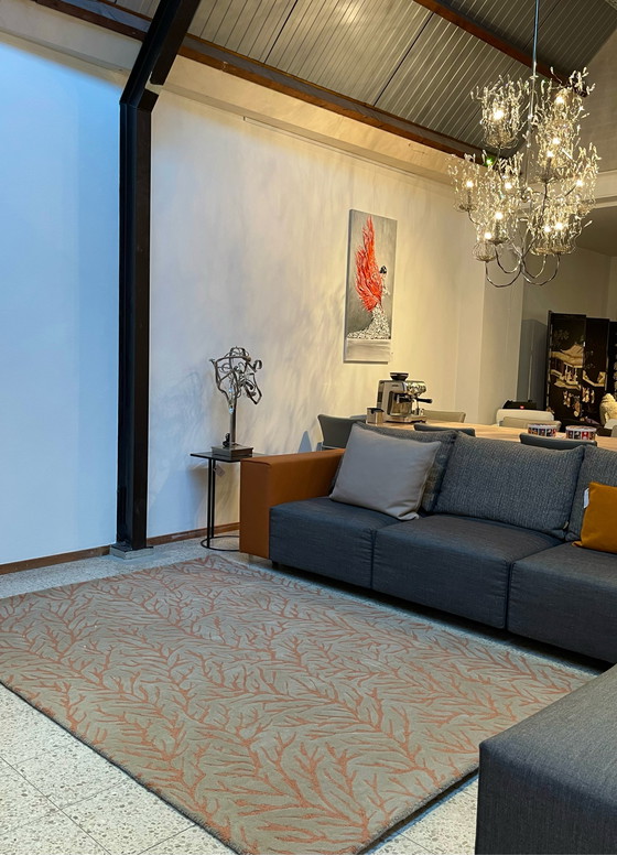 Image 1 of Brink & Campman Harlekin Teppich