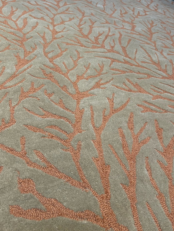 Image 1 of Brink & Campman Harlekin Teppich