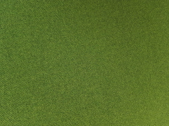 Image 1 of Artifort Alky grüne Pflugwolle