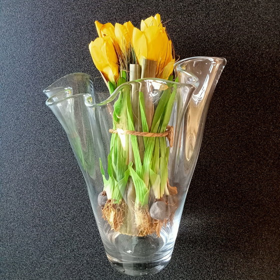 Image 1 of Taschentuchvase/Tulpenvase