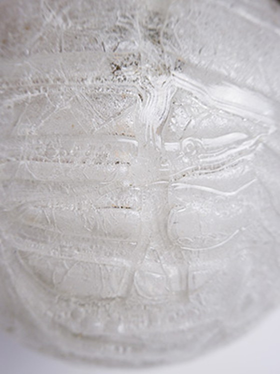 Image 1 of Hängelampe von Doria Leuchten