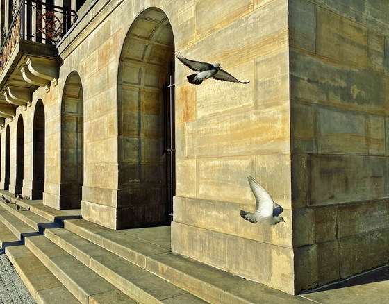 Image 1 of iAnnet - Vögel der Hoffnung