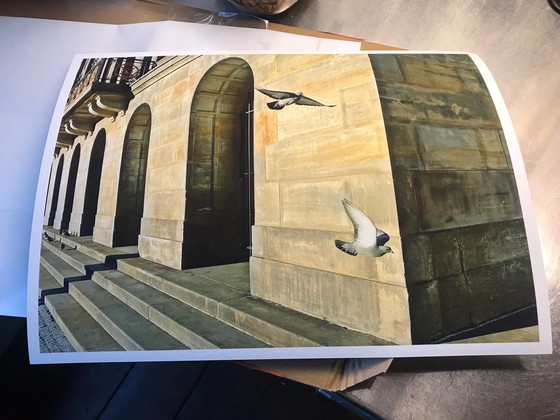 Image 1 of iAnnet - Vögel der Hoffnung